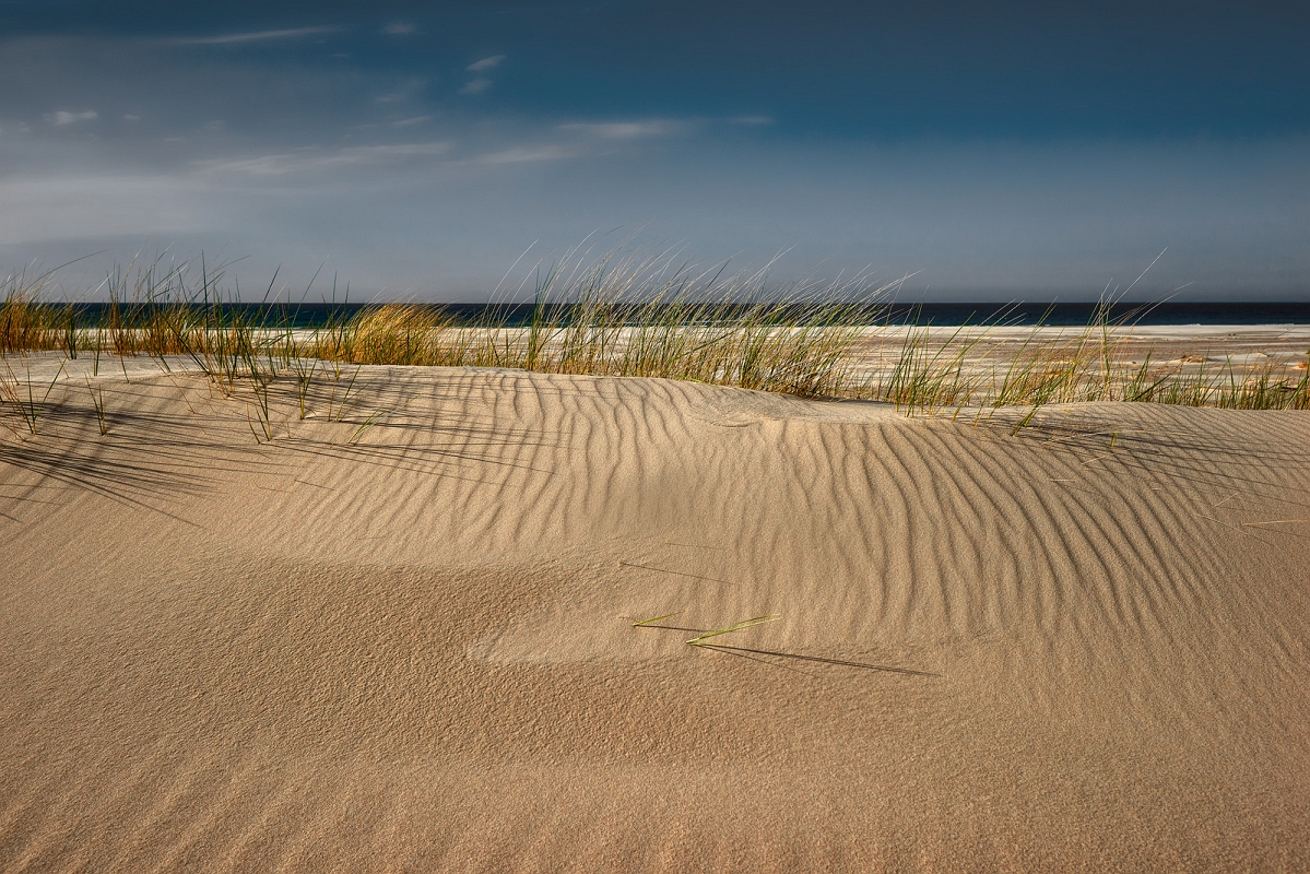 DSC_4536ORGminD.jpg - Wydmy