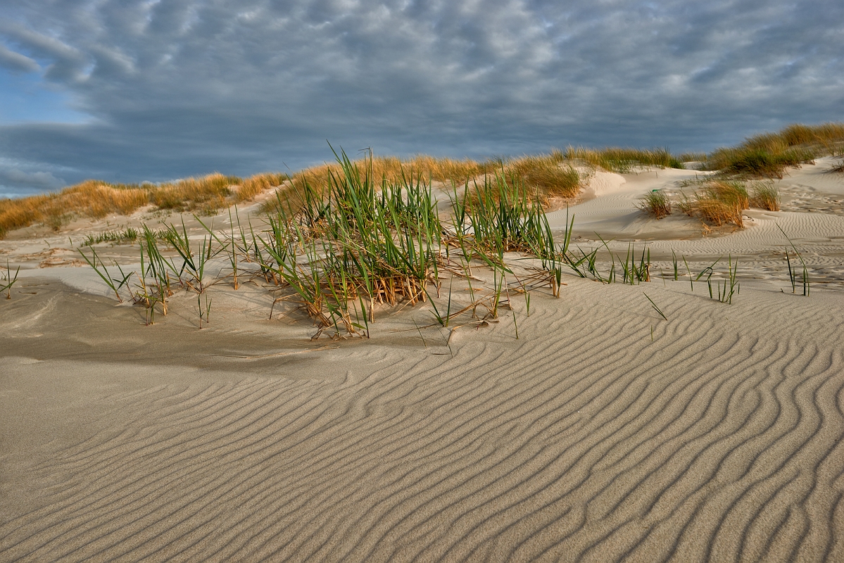 DSC_4601MinD.jpg - Łeba