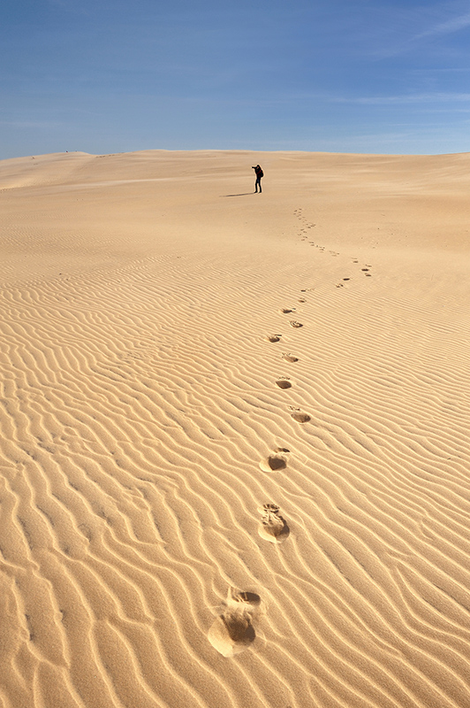 DSC_9377OrgK2Crop.jpg - * Na wydmie *