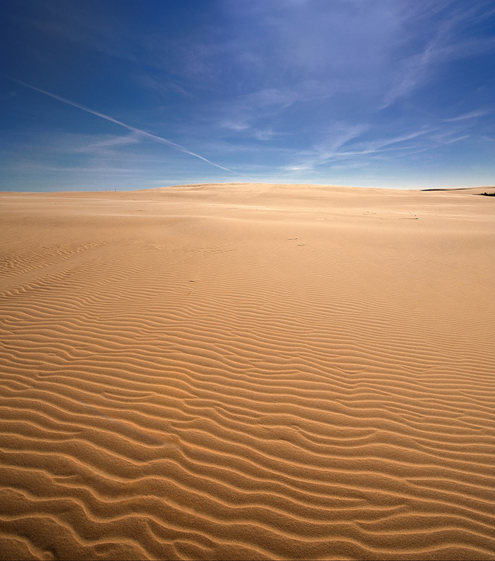 DSC_9382RSdaK.jpg - *Diuna*