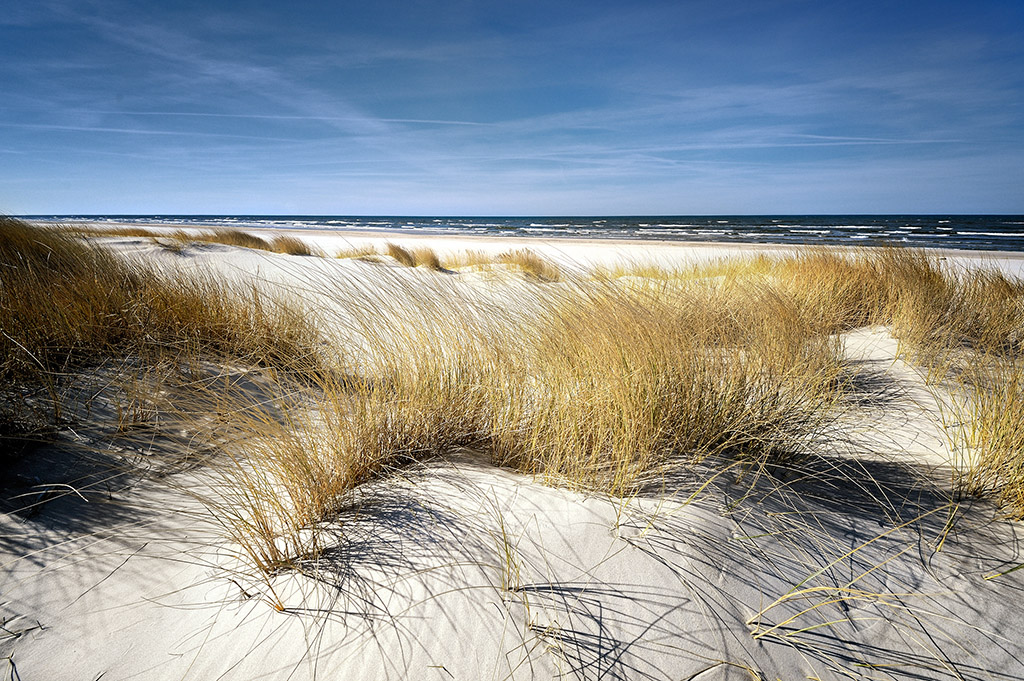 DSC_9408k2abcPhotoAR.jpg - *Leba*