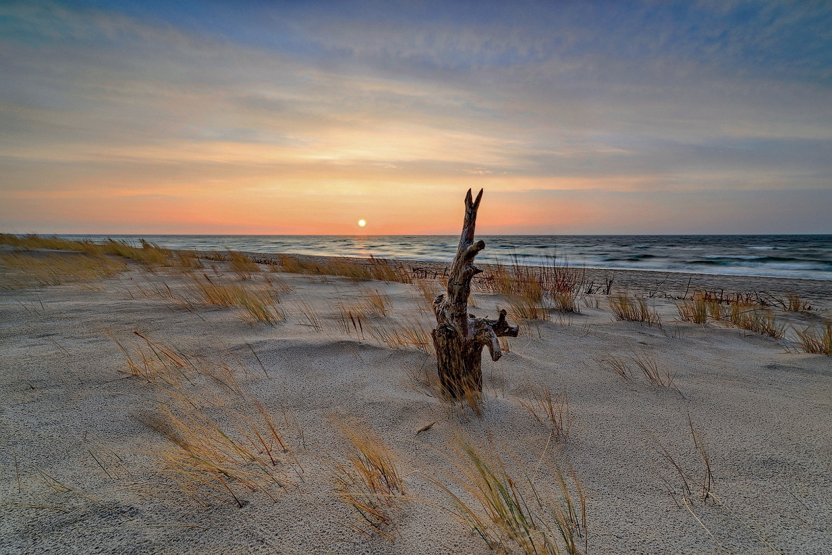 ROOT A B.jpg - Hel plaza