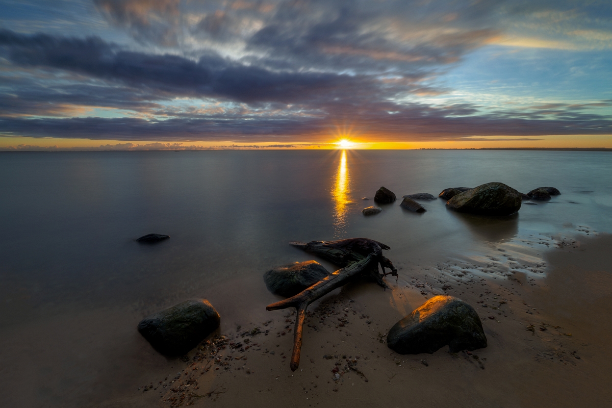 WAKE UP THE DAY.jpg - Gdynia Mechelinki