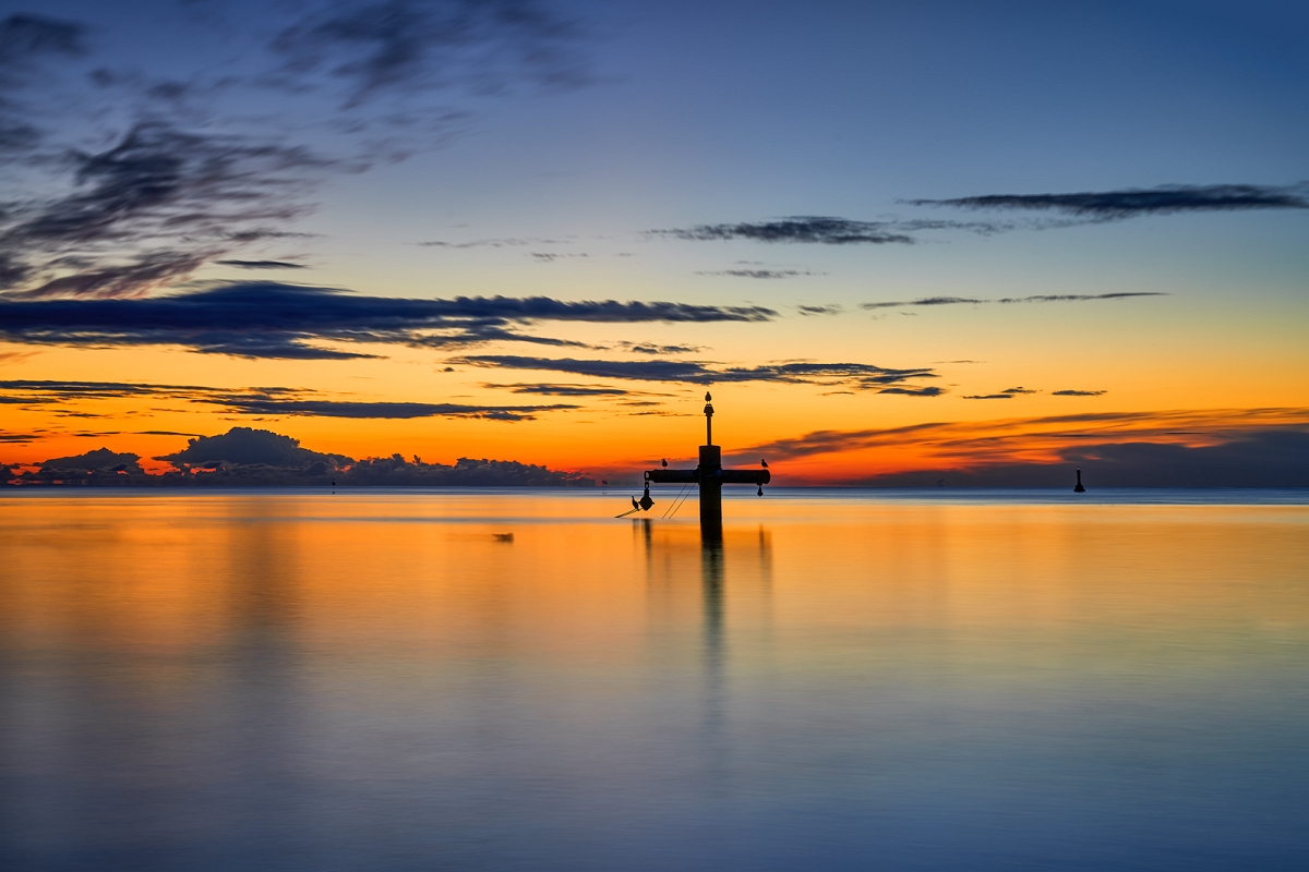 _DSC3735MinD.jpg - 2020 Gdynia Orłowo