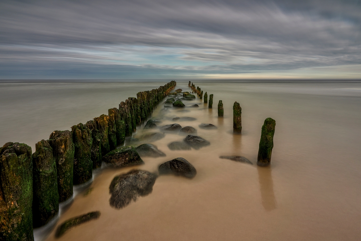 _DSC9274MinD.jpg - Debki