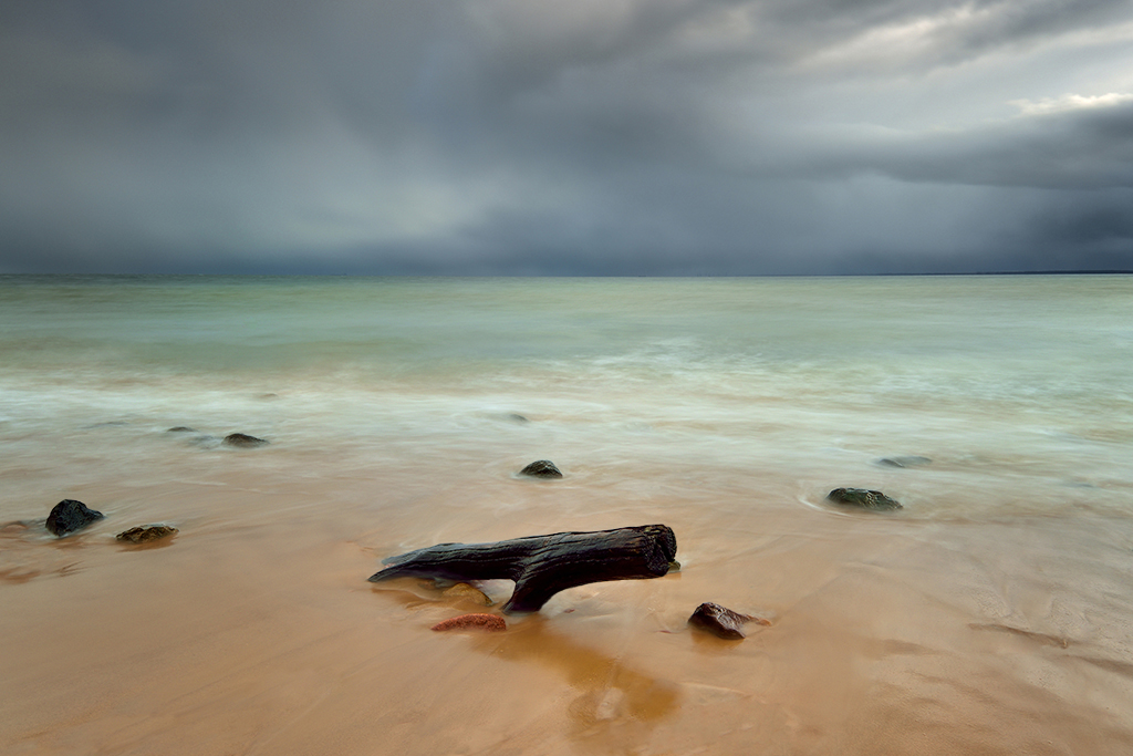 DSC_0333min.jpg - * Wyrzucony na brzeg *