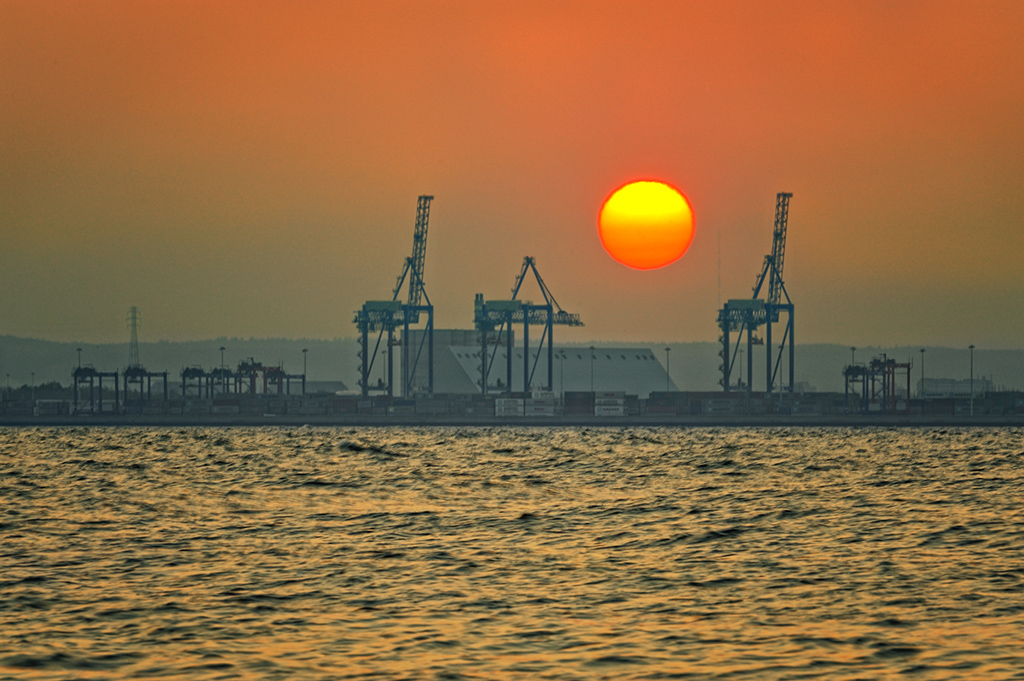 DSC_0691org kopiaKm.jpg - * Czerwona pomarancza *