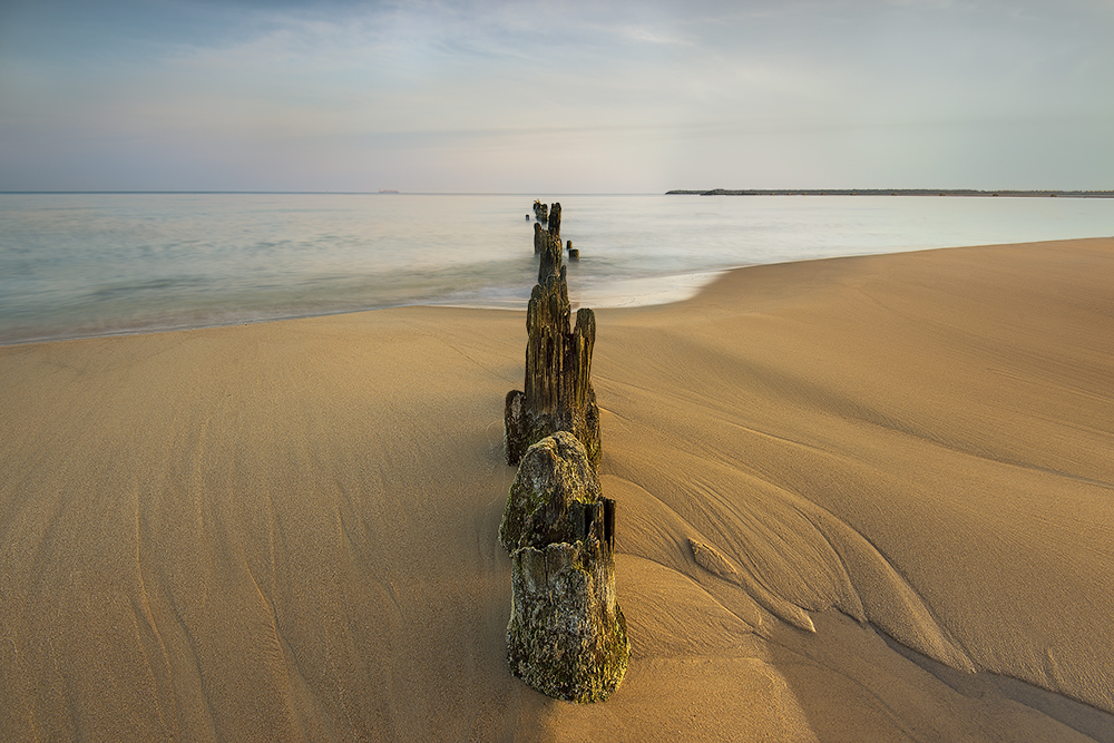 DSC_1668min.jpg - * Ranek *