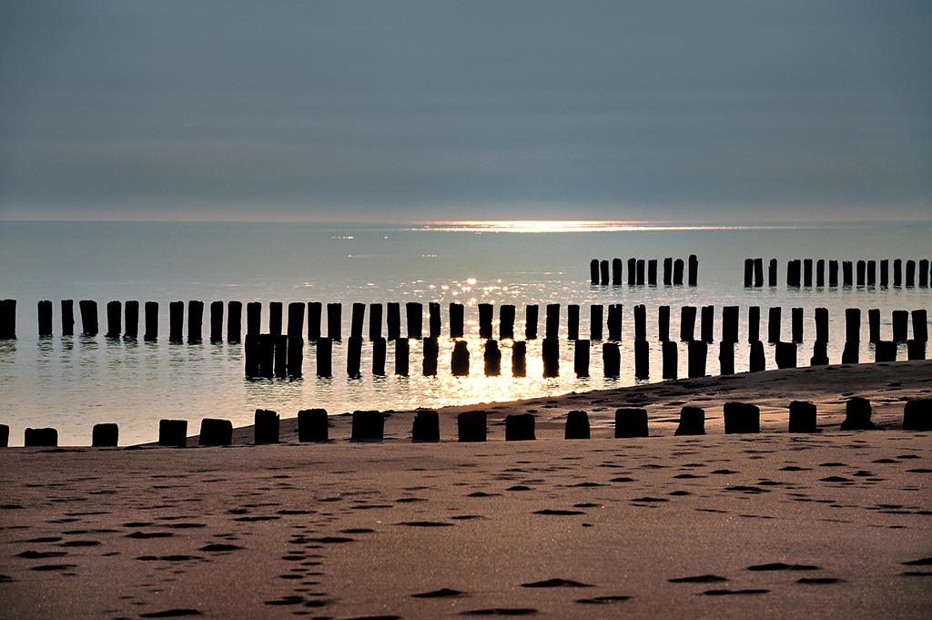 DSC_1879A2.jpg - * Rankiem *