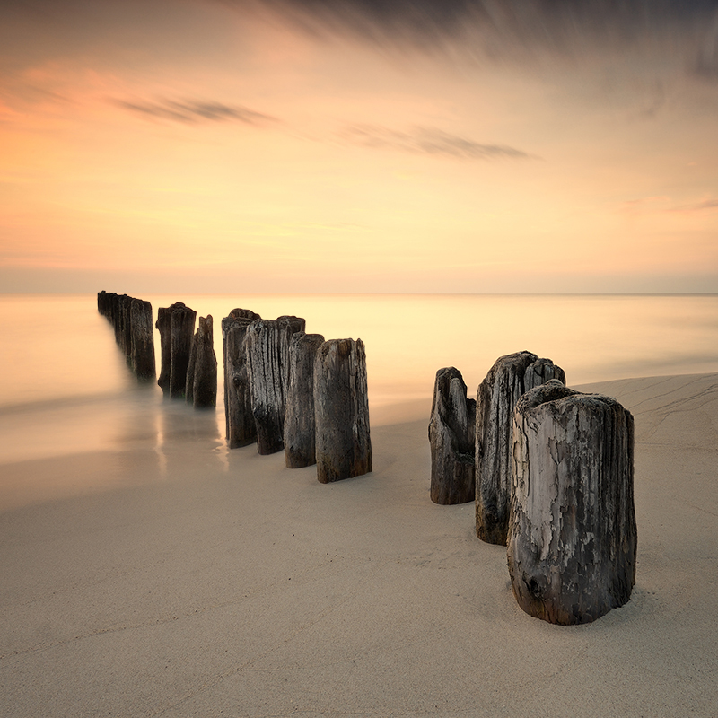 DSC_2429kwadratMin.jpg - * Przed switem * zdjecie zajeło czwarte miejsce  w internetowym konkursie "zdjęcie miesiąca" pazdziernika 2013na portalu  foto-kurier.pl http://www.foto-kurier.pl/galerie/1,lista2_zdjecia_miesiaca,10-2013.html#czytaj