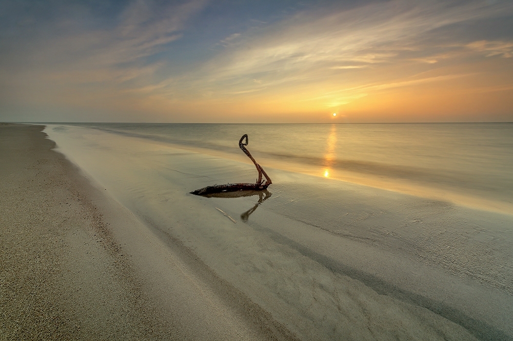 DSC_2728orgMin.jpg - * Drewniany Labedz *