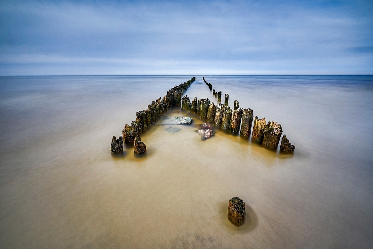 DSC_8383orgMinDk.jpg - Debki