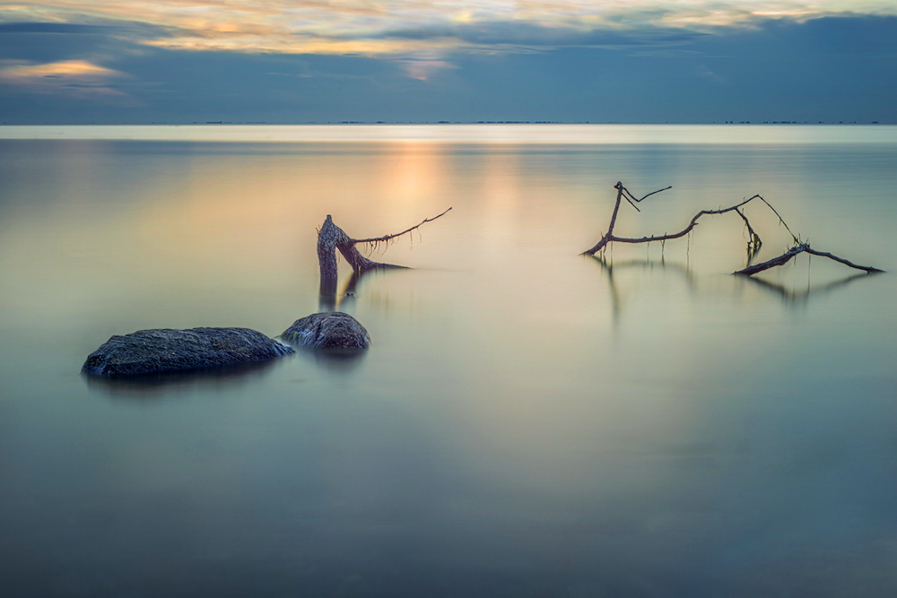 DSC_9009k1akmin.jpg - * Cisza *