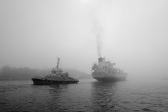 DSC_4178k1bw