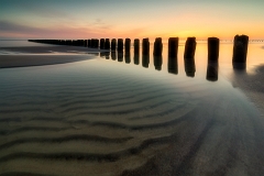 _DSC6375MinD