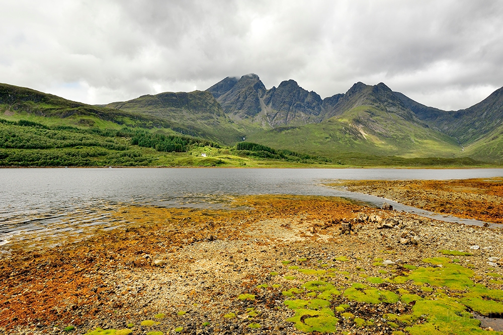 DSC_2747min.jpg - *  Szkocja , wyspa Sky, okolice Elgol *