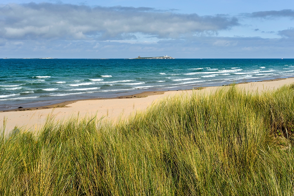DSC_3108min.jpg - * Northumberland, Anglia - w głebi latarnia morska *