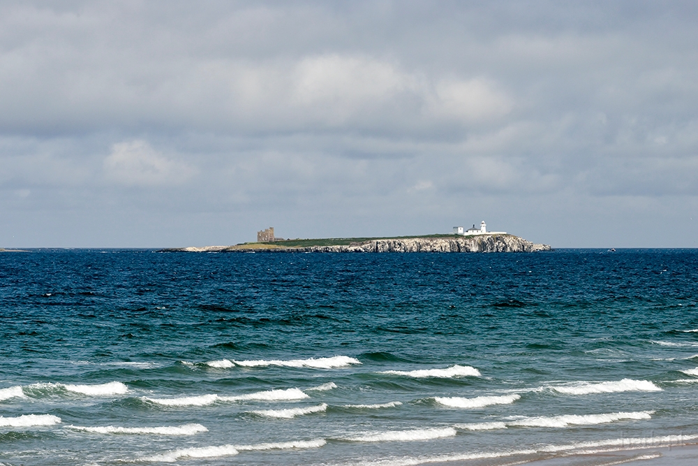 DSC_3142kmin.jpg - *  Northumberland, Anglia  *