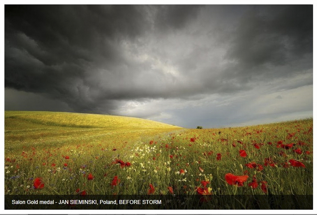 Photo Medians _ Salon Gold.jpg - Styczen 2023 , konkurs fotograficzny Photo Medians Serbia-China-Montenegro-Hungary, pod patronatem Photographic Society of America, fotografia BEFORE STORM zdobyła Salon Gold Medal